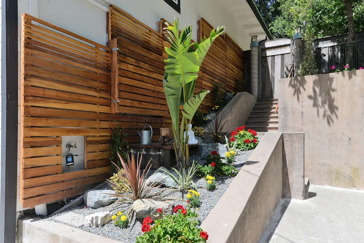 Side yard at the Ivy Project